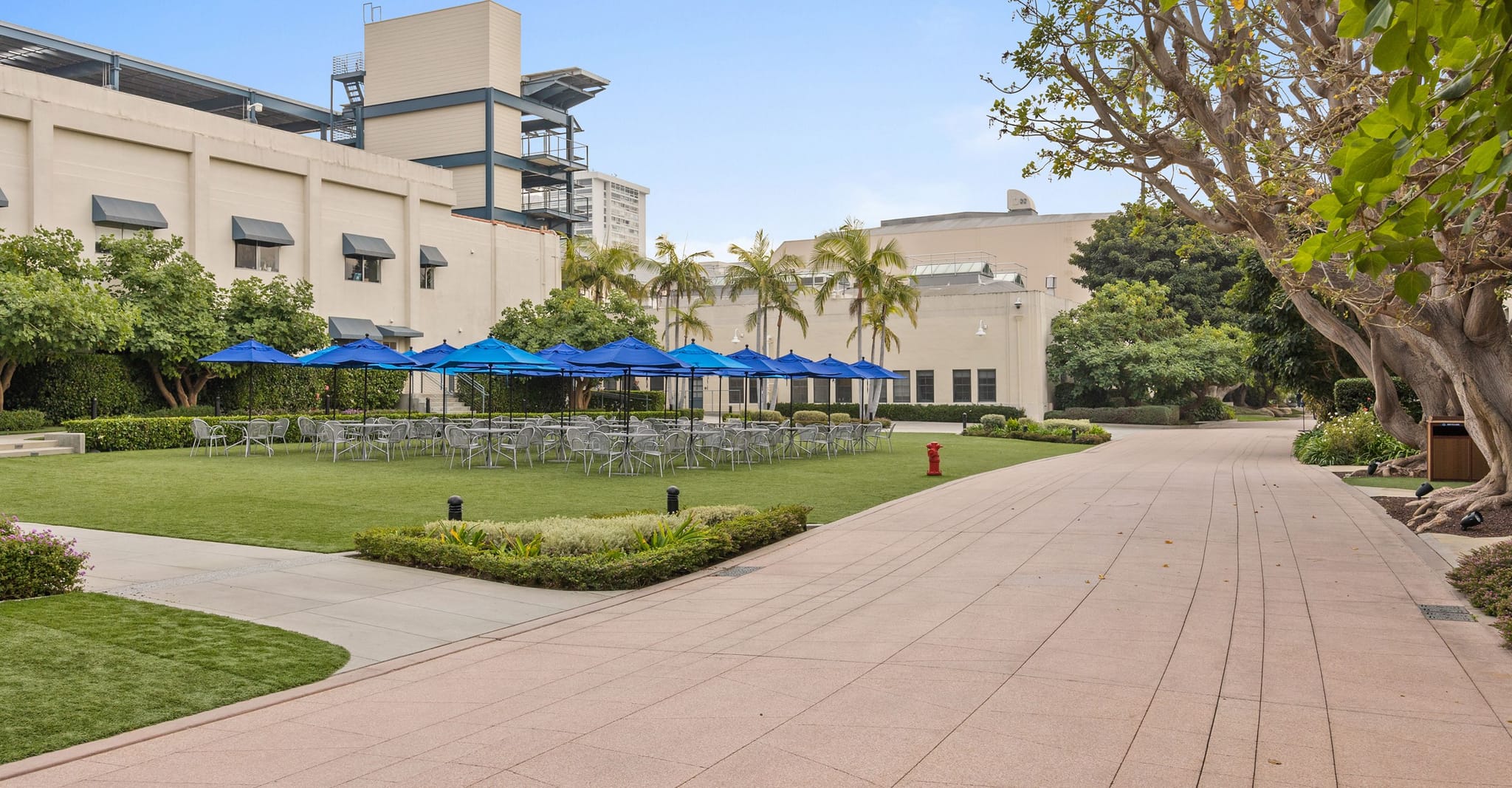 A large grassy outdoor event space with tables, blue umbrellas, buildings, and a paved walkway.