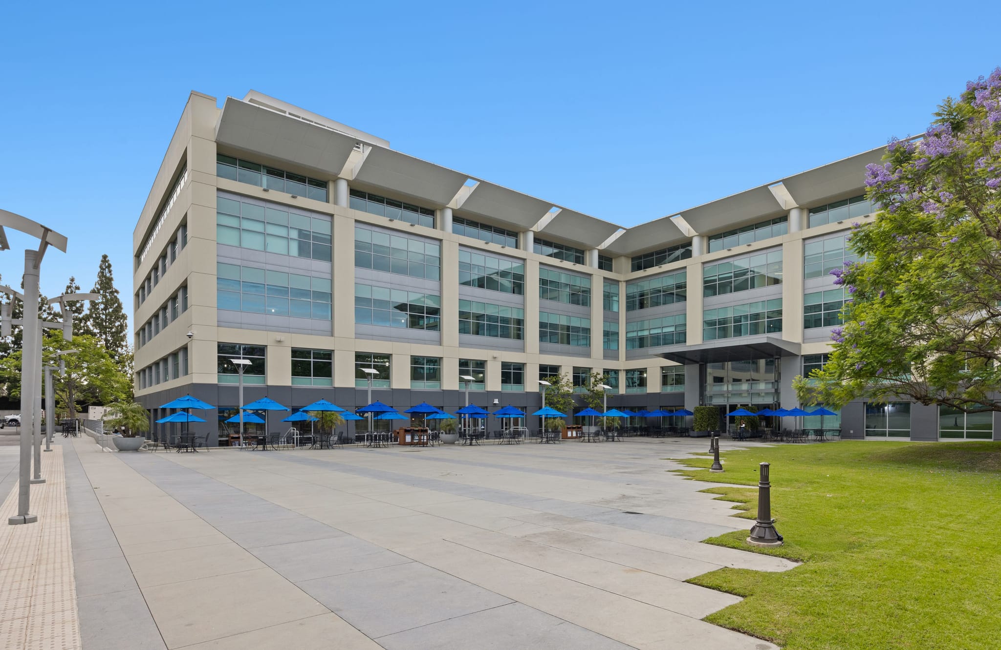 An L-shaped modern office building with a paved plaza featuring blue umbrellas and outdoor seating, bordered by a green lawn and a tree with purple flowers under a clear sky.