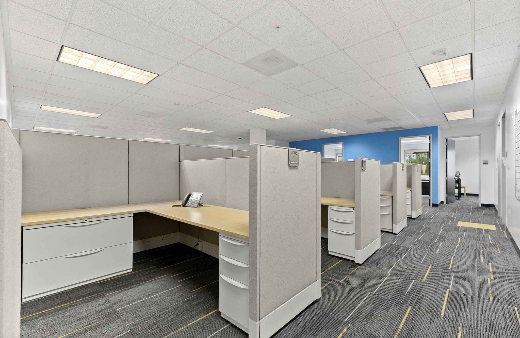 Spacious, empty office with rows of beige cubicles, grey patterned carpet, and a blue accent wall.