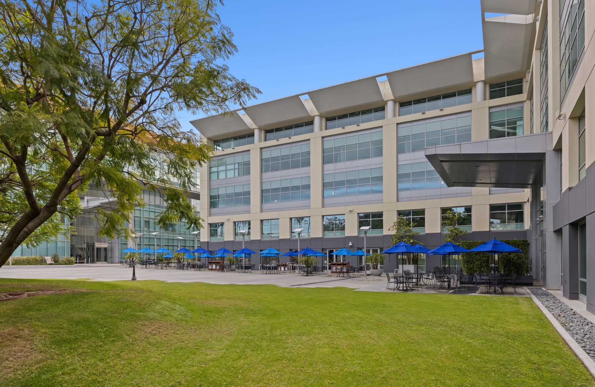 A modern office building with a green lawn and outdoor patio seating under blue umbrellas.