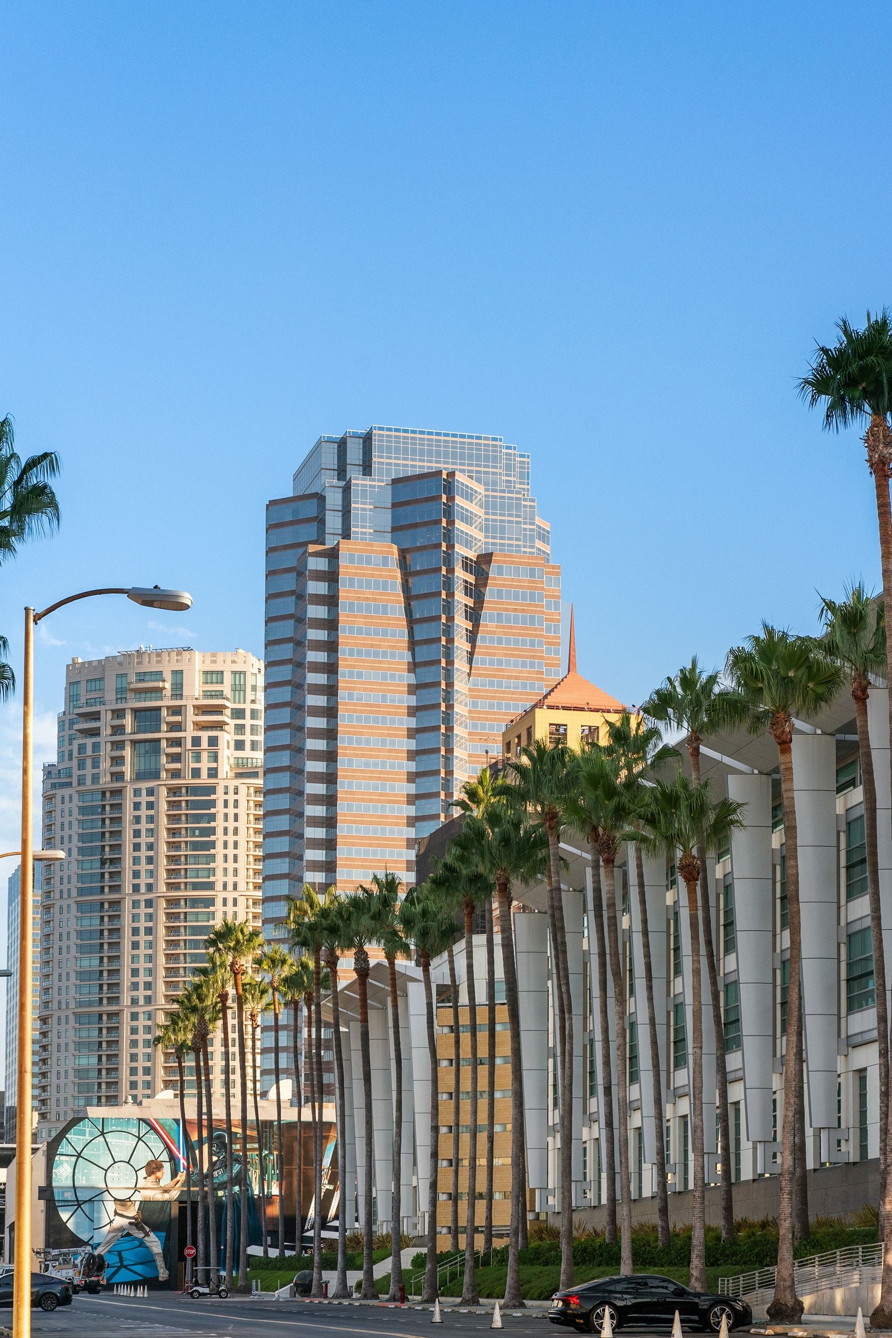 Downtown street scene with tall modern buildings, a row of palm trees, and a circular building featuring a Star Wars mural.