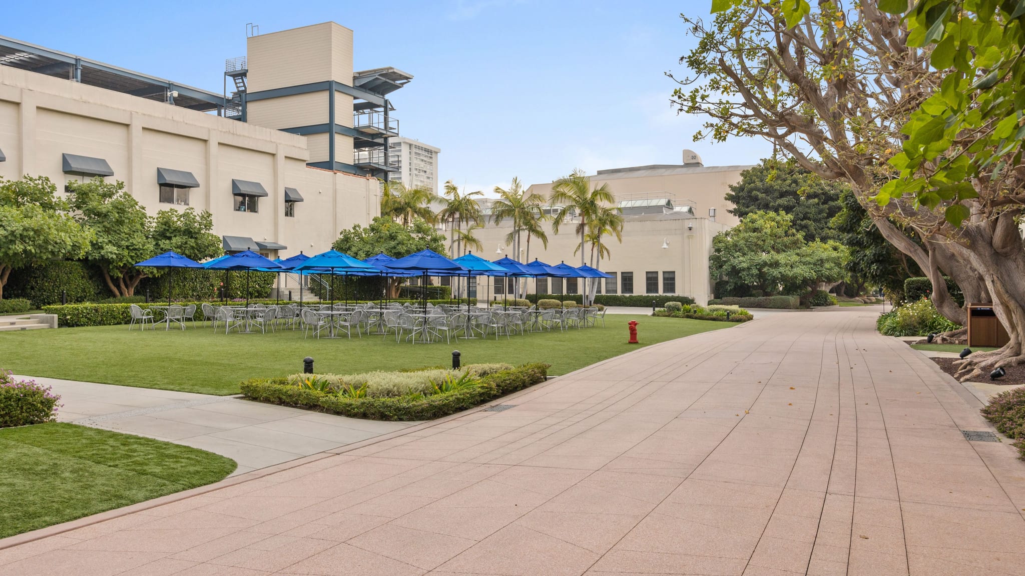 Outdoor event space with tables, chairs, and blue umbrellas on a green lawn, next to a building and a paved path.