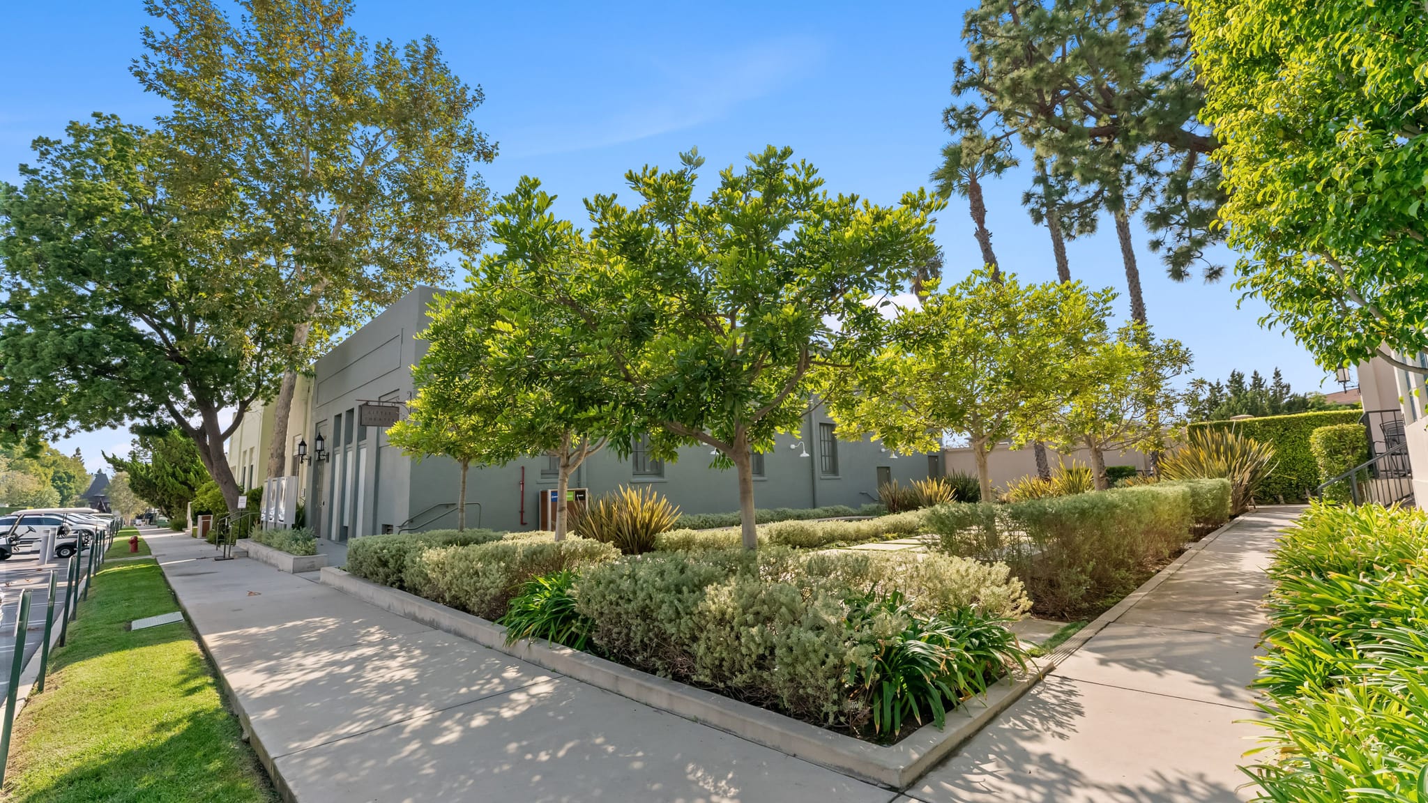 A street view of a building with a sidewalk and a landscaped garden with trees and bushes.