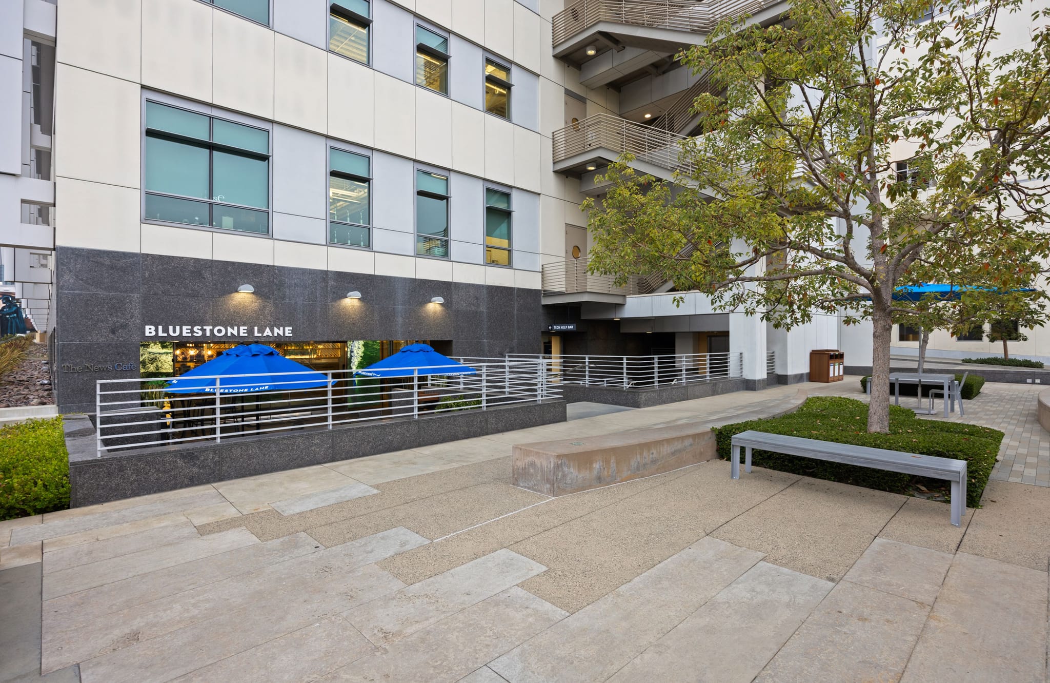Bluestone Lane cafe with two blue umbrellas in an outdoor urban courtyard with trees and benches.