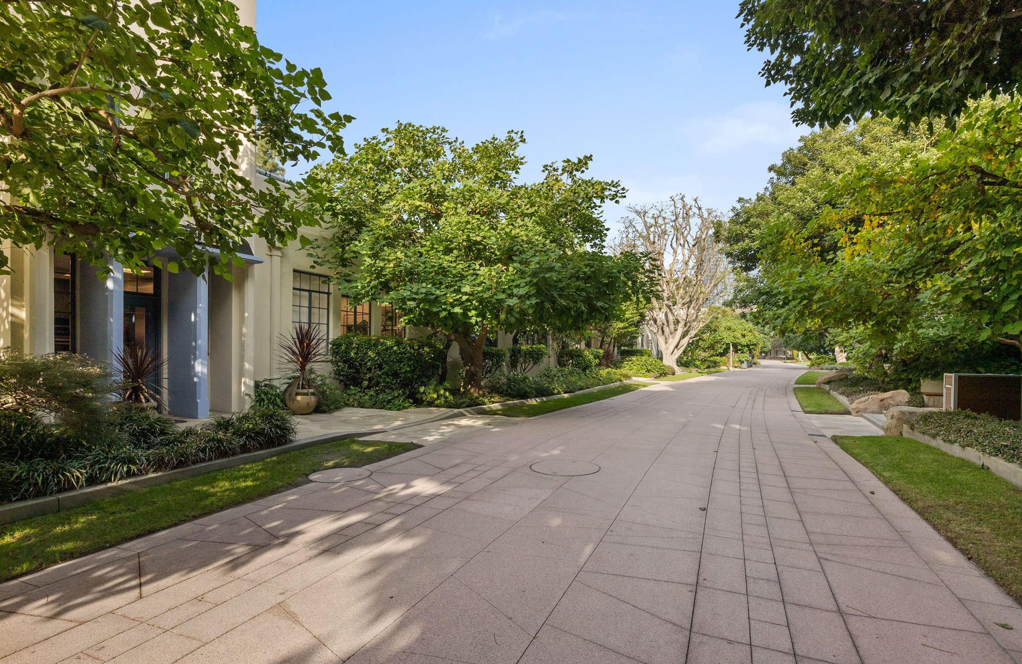 A lush, tree-lined residential street with houses under a blue sky.