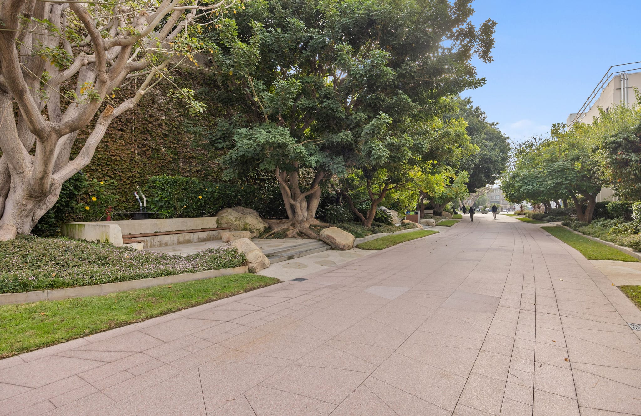 A wide paved pathway lined with trees and greenery, with a fountain on the left and people walking in the distance.
