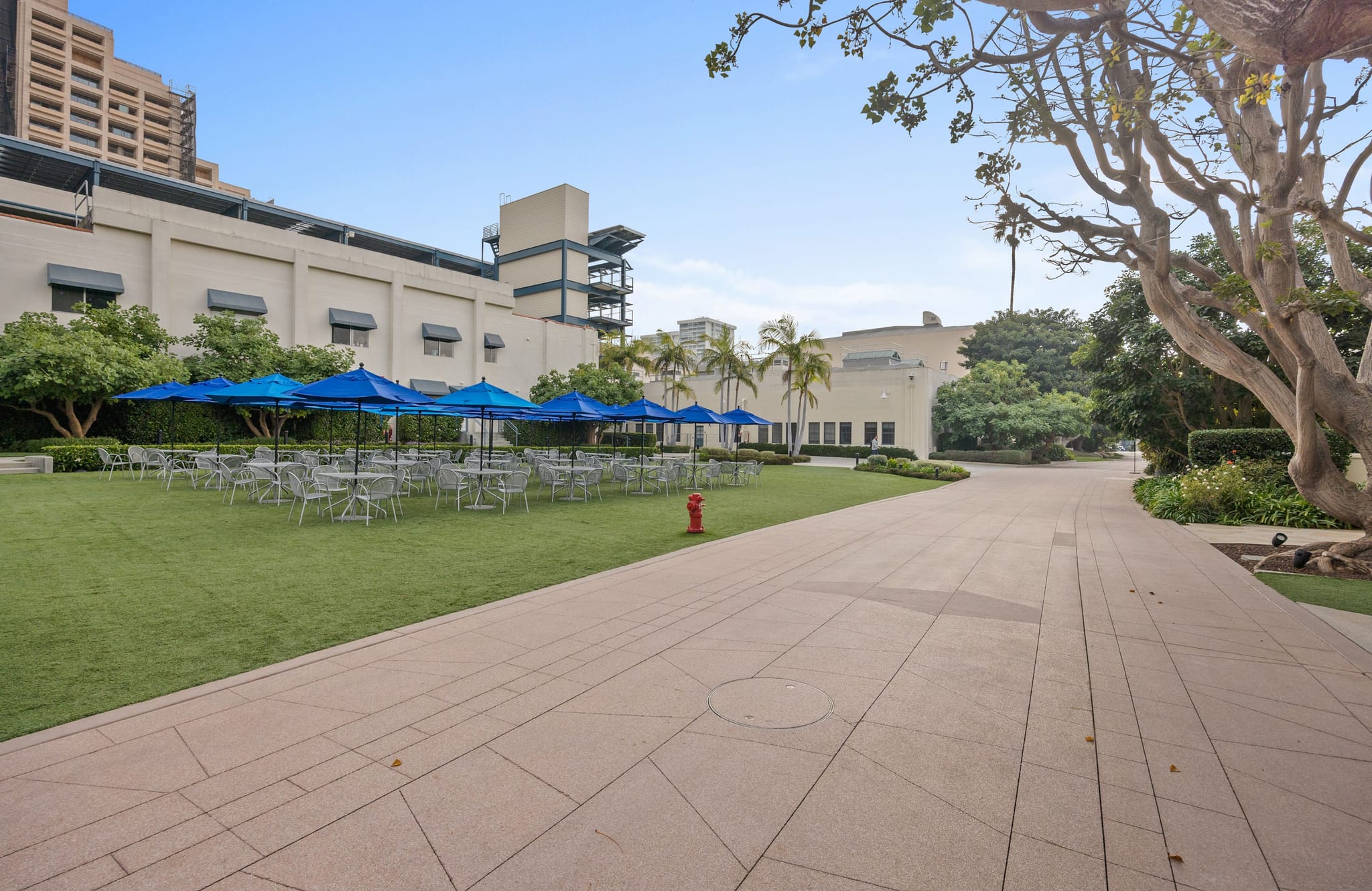 An outdoor lawn area with many tables and chairs under blue umbrellas, adjacent to a paved walkway and buildings.