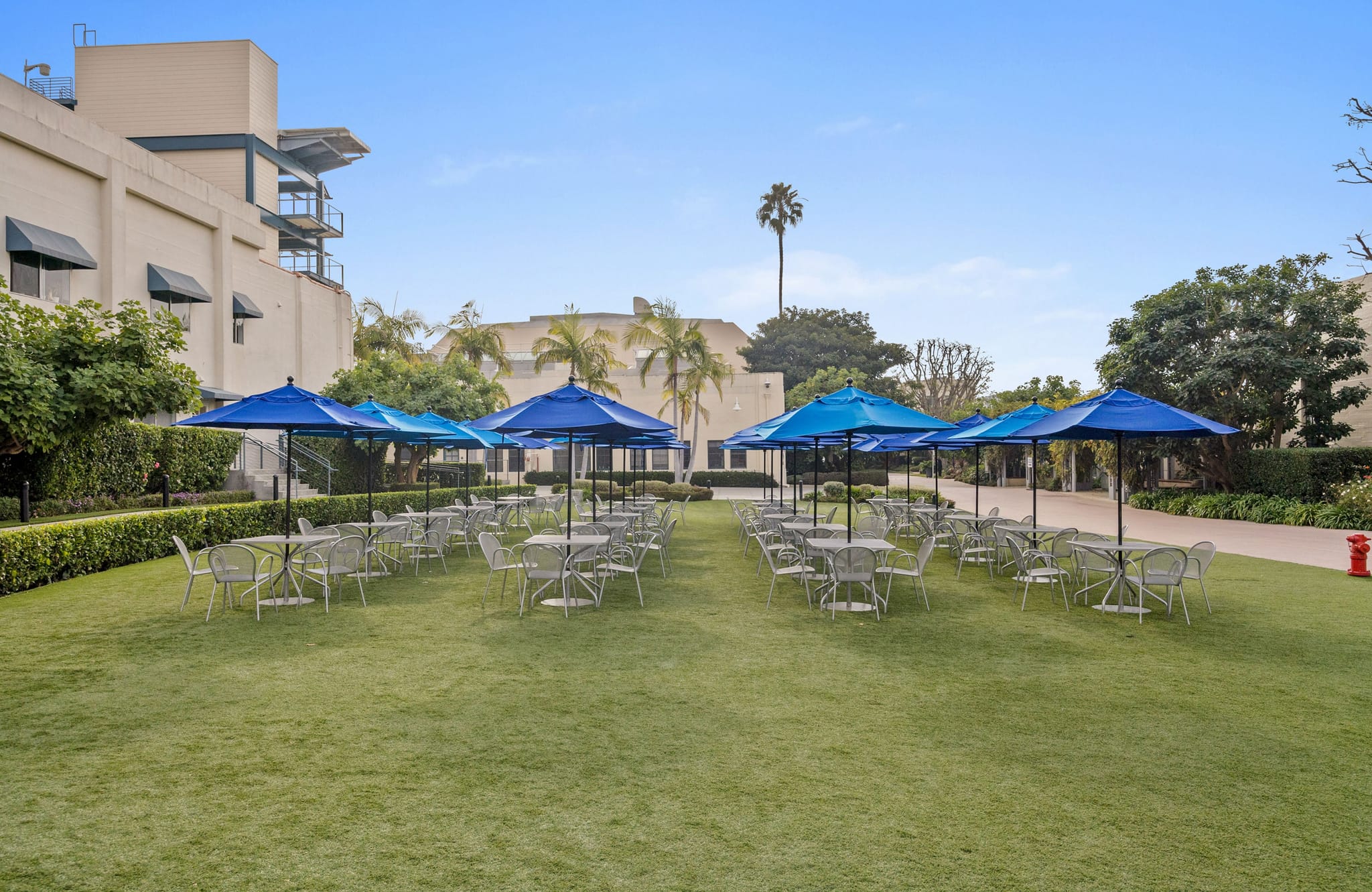 Outdoor seating area on a green lawn with tables, chairs, and blue umbrellas, bordered by buildings and trees.